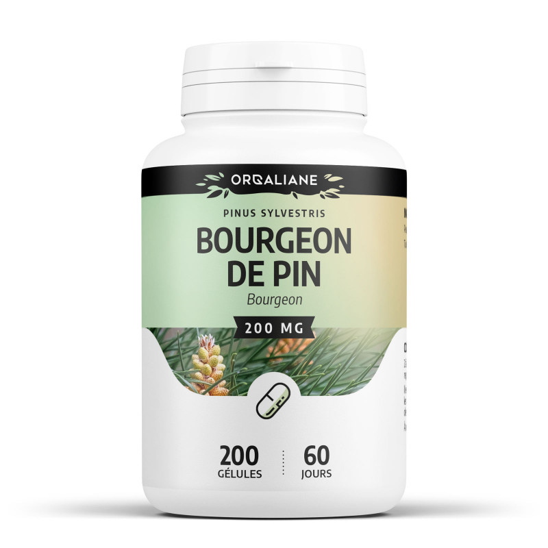 bourgeon-de-pin-200-gélules-à-200-mg