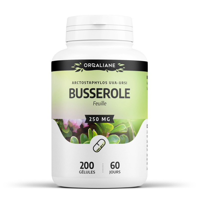 busserole-200-gélules-à-300-mg