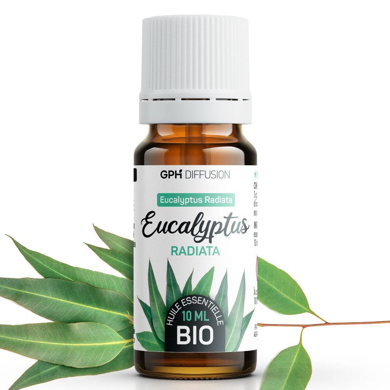 huile-essentielle-d-eucalyptus-radiata-bio