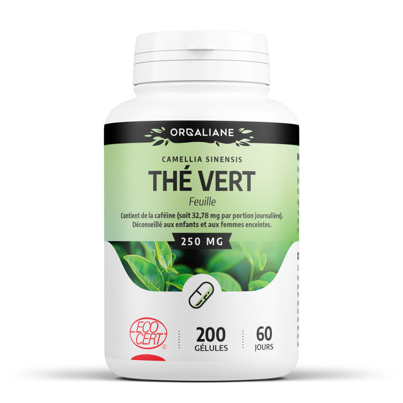 thé-vert-200-gélules-à-250-mg