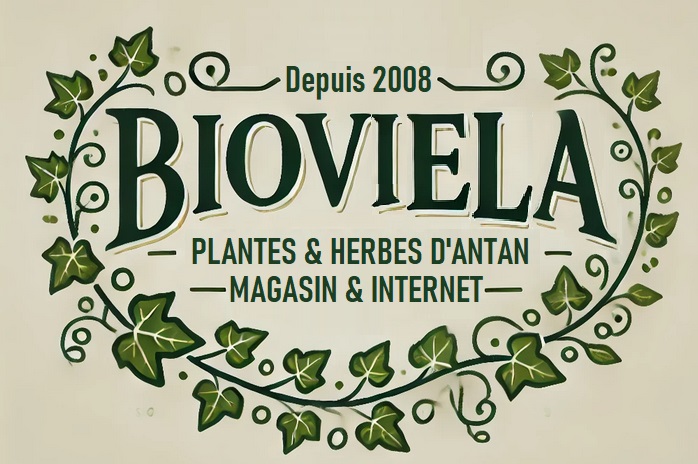 LOGO SITE