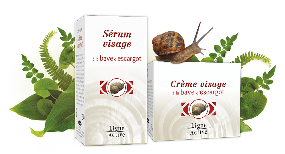 bodegon_ligne_active