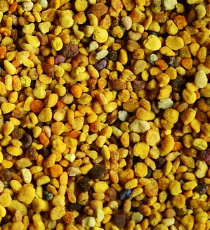 pollen-1