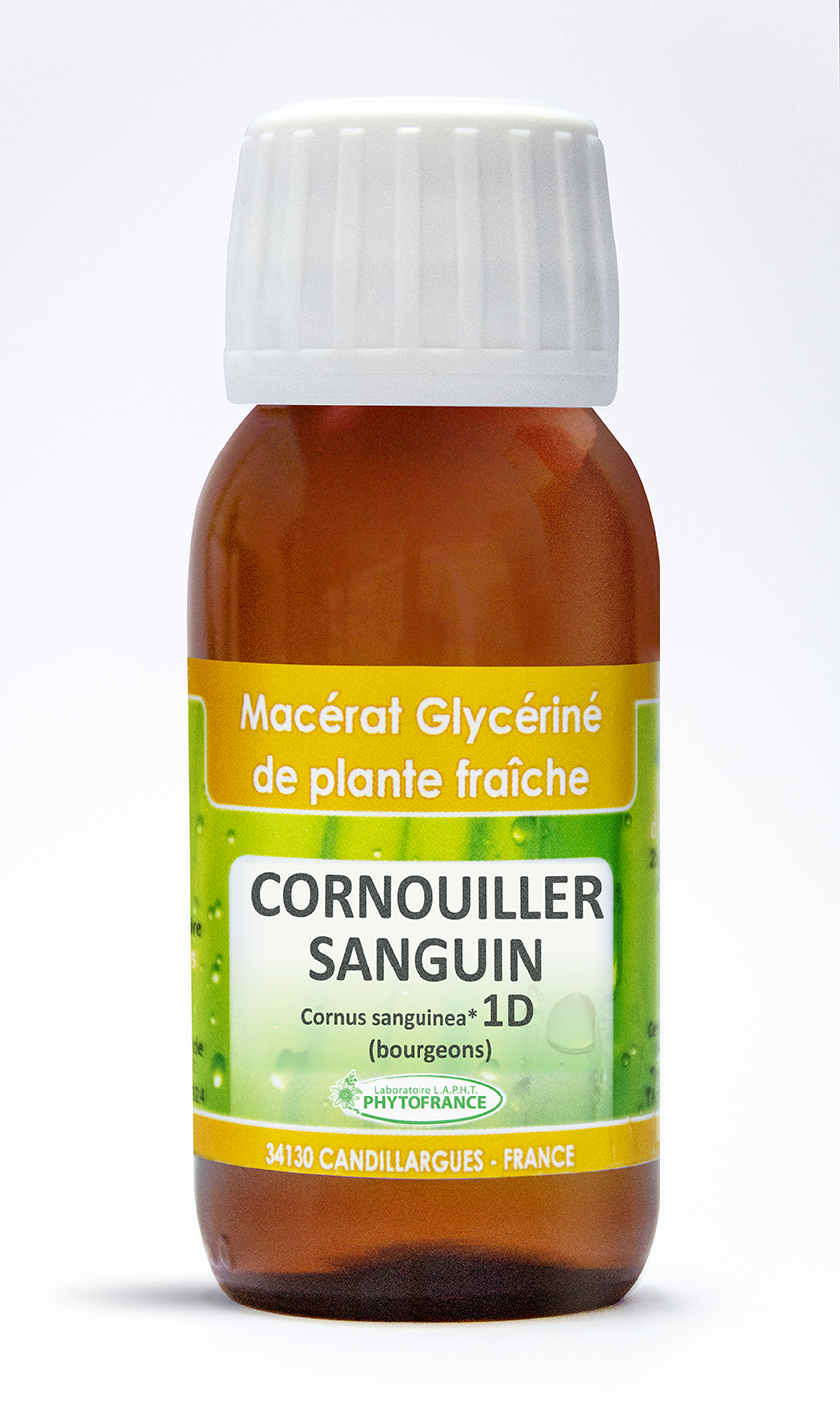 phytofrance - macerat glycerine 1D  - cornouiller sanguin - 60ml