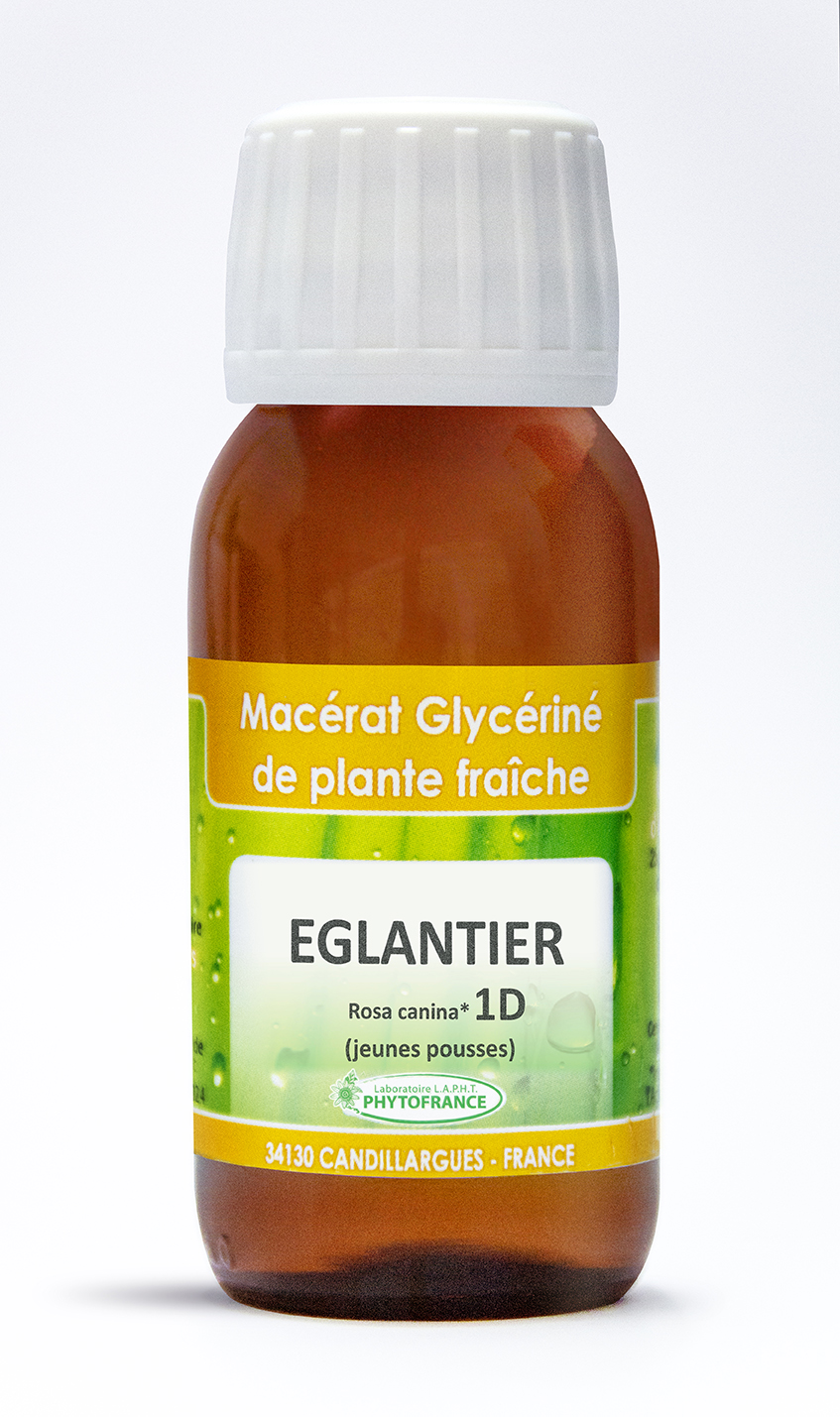 phytofrance - macerat glycerine 1D - eglantier - 60ml