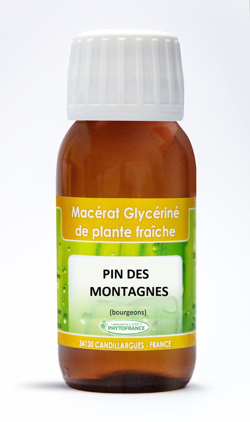 phytofrance - macerat glycerine 1D - PIN BOURGEON 60ml