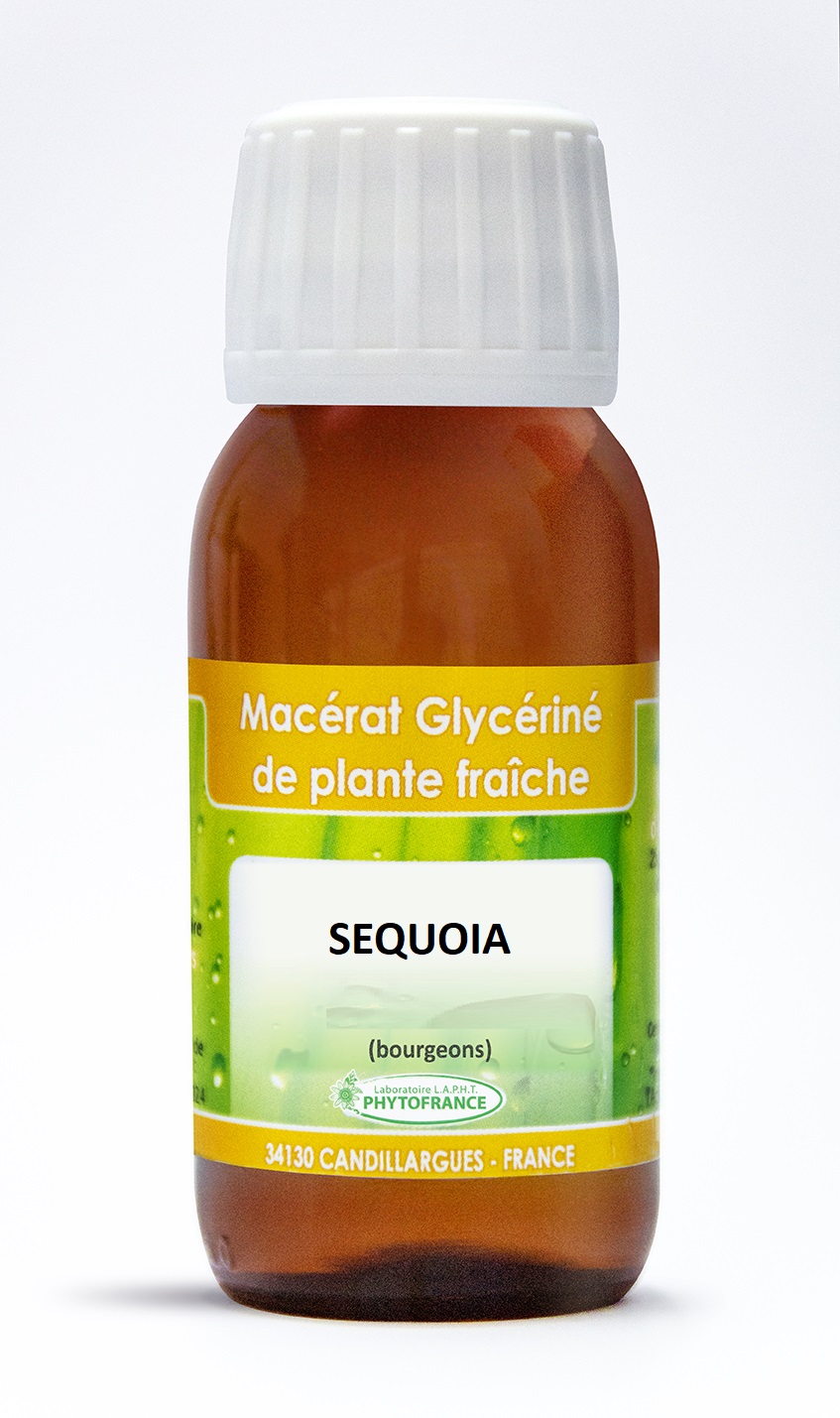phytofrance - macerat glycerine 1D - SEQUOIA BOURGEON 60ml