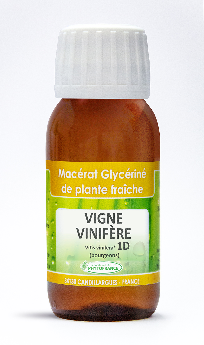 phytofrance - macerat glycerine 1D - vigne vinifere - 60ml