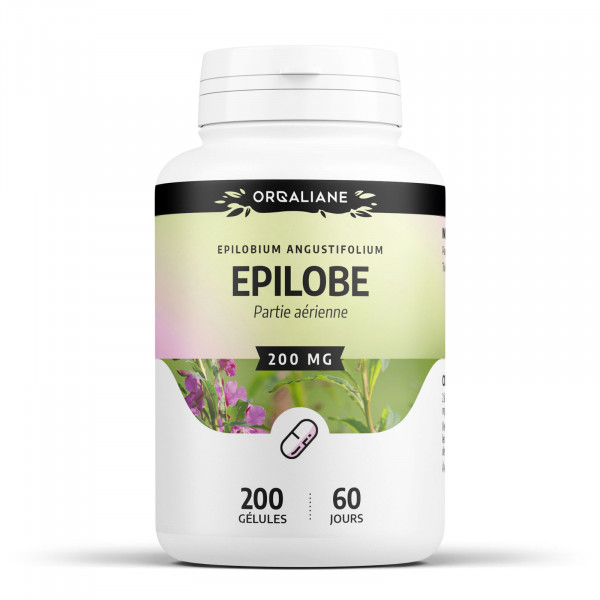 epilobe-200-gélules