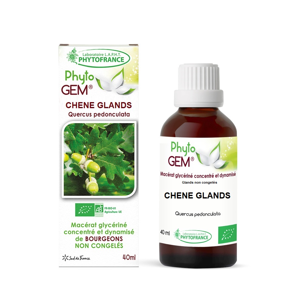 glands
