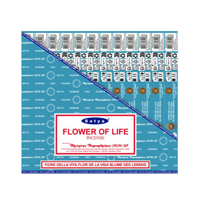 fleur-de-vie-2-1772055108699f6a44a5f03