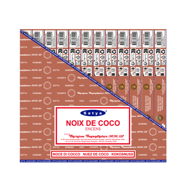 noix-de-coco-2-1772055045699f6a056a24e