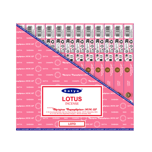 lotus-2-1772055251699f6ad306b3b
