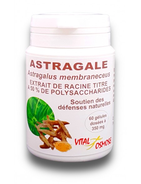 extrait-de-racine-d-astragale-chinoise