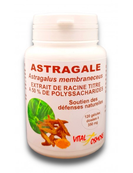 extrait-de-racine-d-astragale-chinoise 120