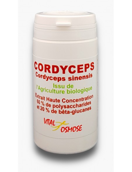 cordyceps-biologique-extrait-500mg-60-gelules