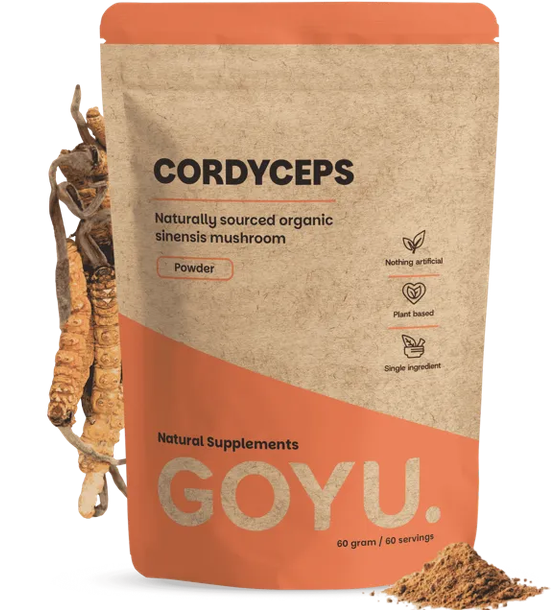 cordyceps poudre