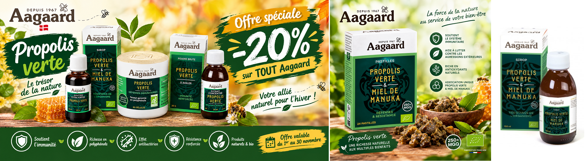 Aagaard