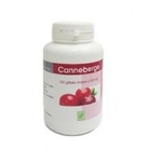 CURCUMA 200 gélules dosées à 250 mg - verano medical