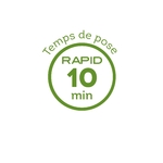 logo RAPID