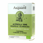 acerola-500mg-propolis-echinacea-20-comprimes-a-croquer 2