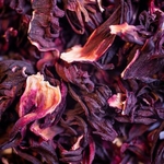 2020-hibiscus-004