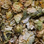 2020-Houblon-002