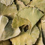 2020-Gingko-Biloba-001