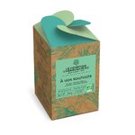 INFUSETTES-RESPIRER-a-vos-souhaits-zoom