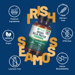 sea moss 2