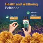 sea moss 3