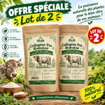 Offre spéciale de collagène naturel