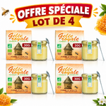 Offre spéciale gelée royale bio