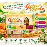 Gelée royale bio, force naturelle