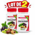 Lot de 2 compléments Circulation大小规律