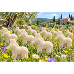 Savons ânes dans une prairie fleurie