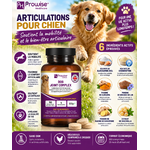 Soutien articulaire pour chien heureux
