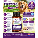 Probiotique et digestion pour chiens