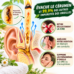 Infographie sur la bougie auriculaire