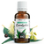 huile-essentielle-d-eucalyptus-globulus-bio