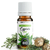 cyprés-vert-bio-10-ml