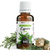 cyprés-vert-bio-10-ml