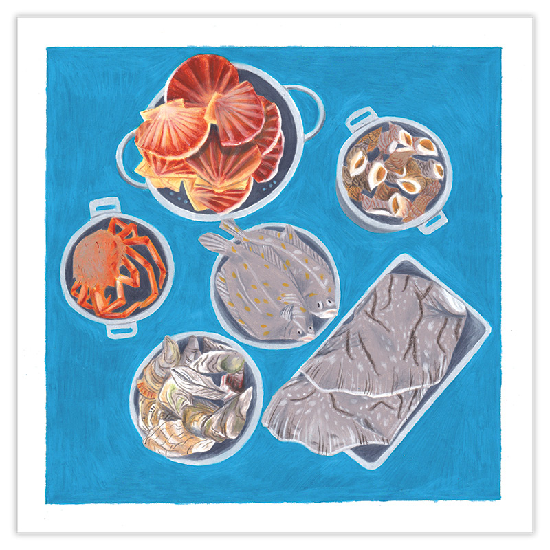 Dessin \'Fruits de Mer\', Impression Fine Art - Laure Drouglazet