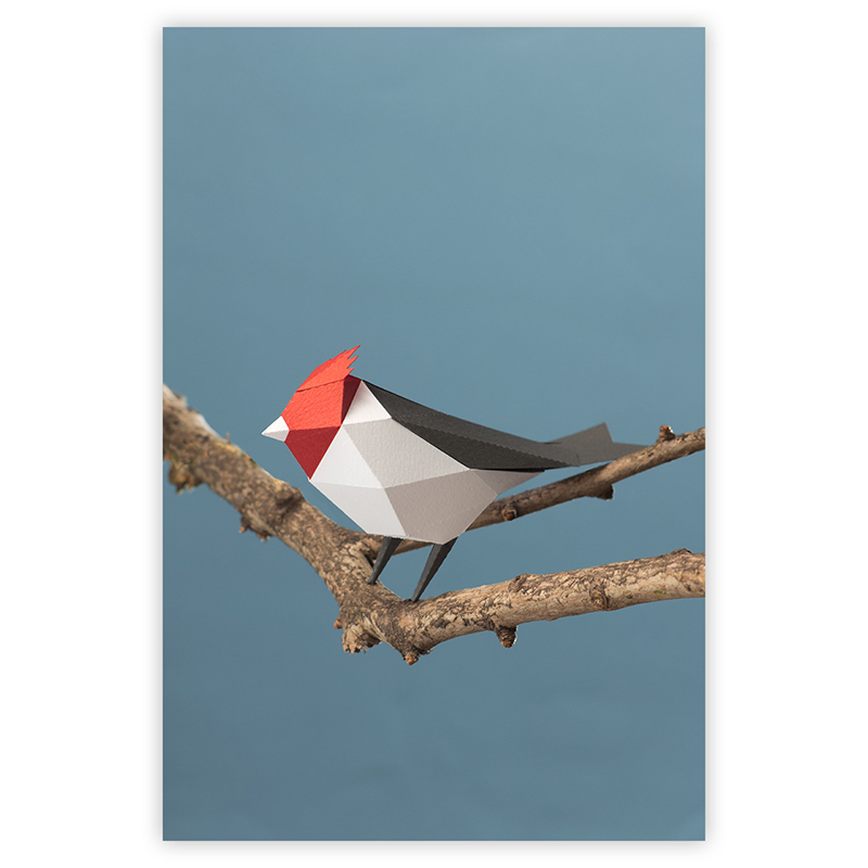 Cardenal, oiseau en papier à assembler - Guardabosques