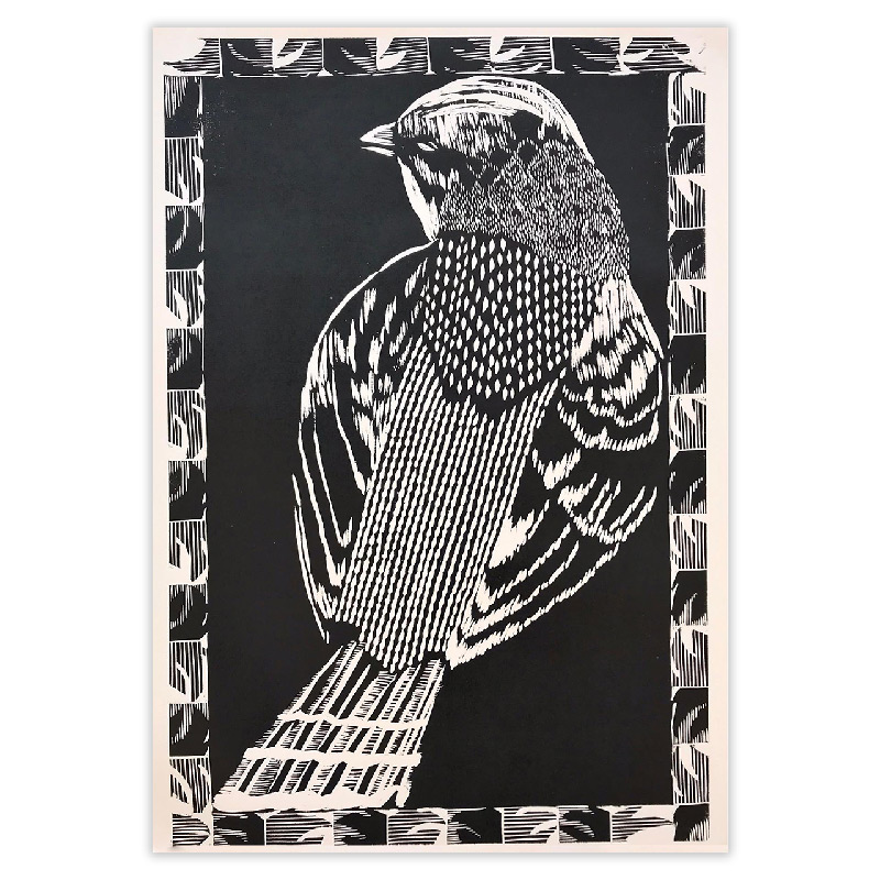 Gravure-Serie-oiseaux-buenos-aires-Chingolo-2020-fabrica-de-estampas-50x70-FDE030