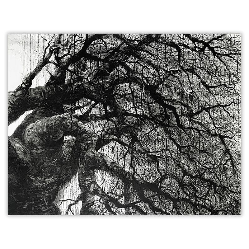 Dessin \'Maiwenn\' de la série \'Rhizomes\', Impression Fine Art - Marco Chamorro