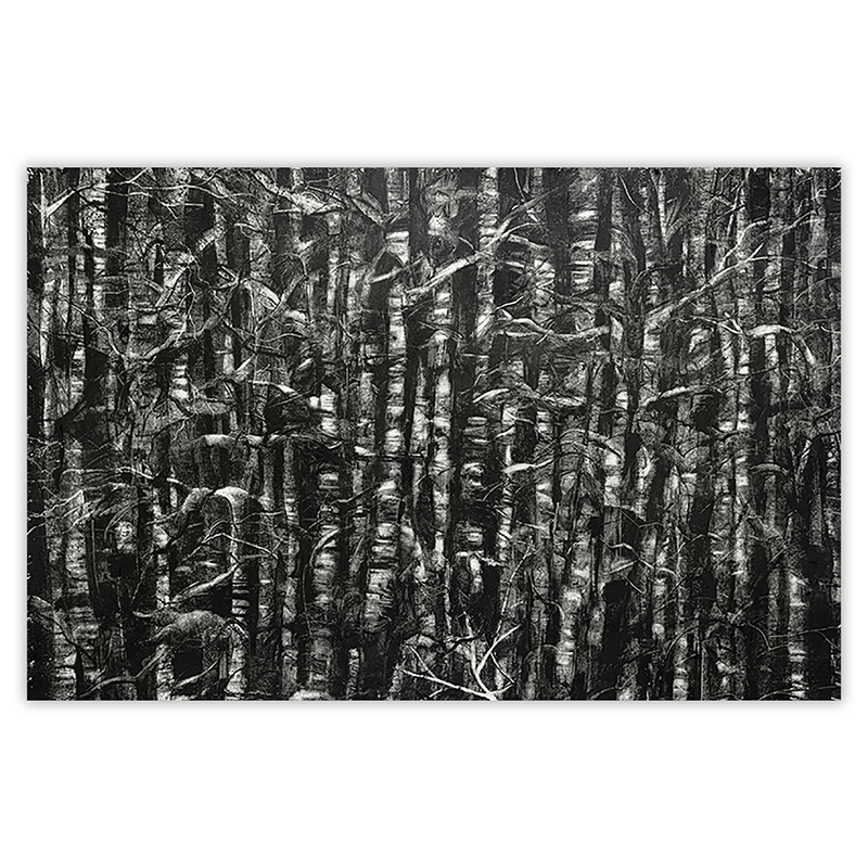 Dessin \'Tugdual\' de la série \'Rhizomes\', Impression Fine Art - Marco Chamorro