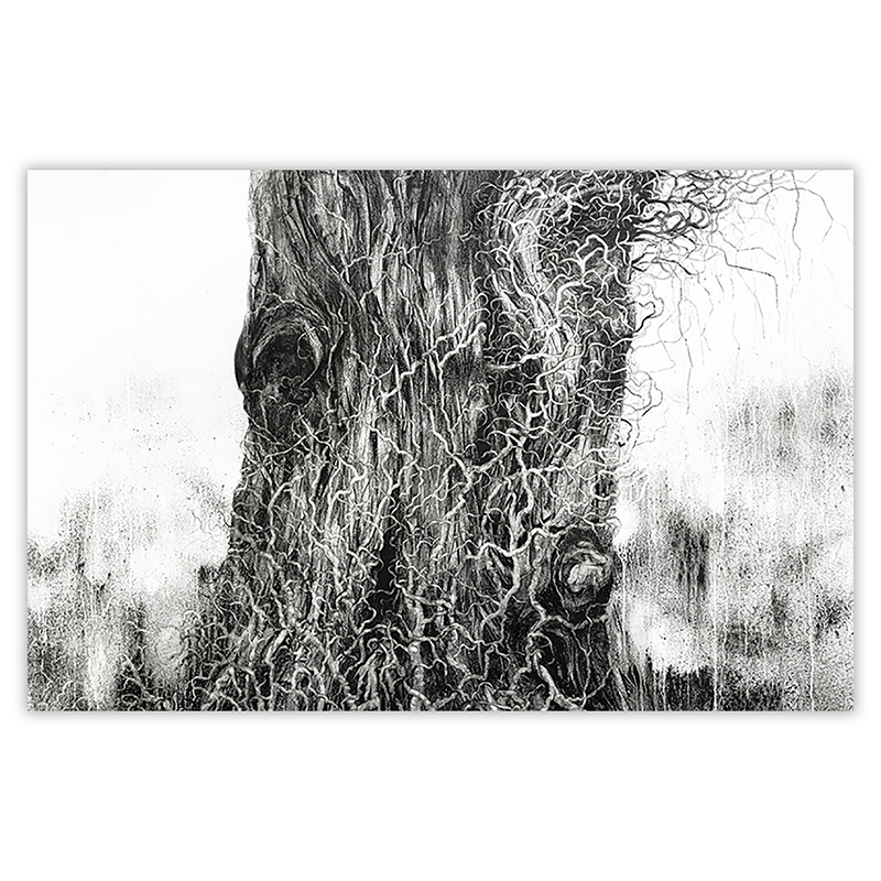 Dessin \'Riou\' de la série \'Rhizomes\', Impression Fine Art - Marco Chamorro