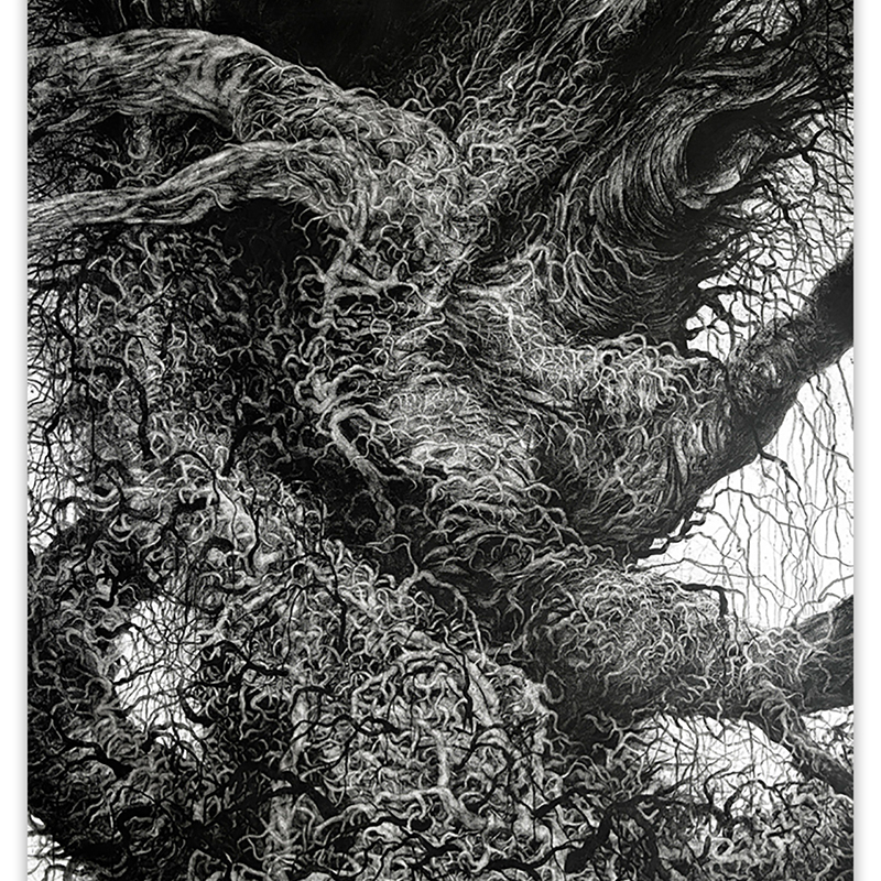 Dessin \'Tanguy\' de la série \'Rhizomes\', Impression Fine Art - Marco Chamorro