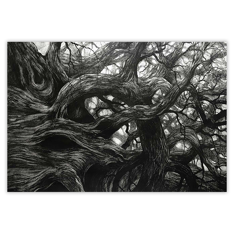 Dessin original au fusain \'Erwan\' de la série \'Rhizomes\' - Marco Chamorro